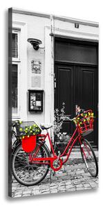 Vertikálny foto obraz na plátne Mestský bicykel