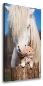 Vertikálny foto obraz na plátne Biely kôň s mačkou