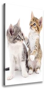 Vertikálny foto obraz na plátne Dve malé mačiatka