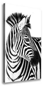 Vertikálny foto obraz na plátne Zebra na snehu