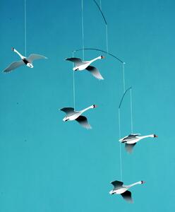 Kinet Scandinavian Swans