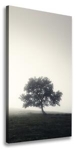 Vertikálny foto obraz na plátne Drevo v hmle ocv-122846887