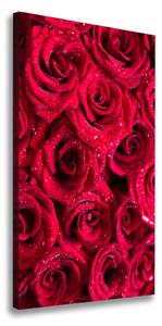 Vertikálny foto obraz na plátne Červené ruže