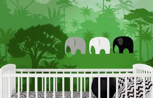 Kinet Elephant party B/W