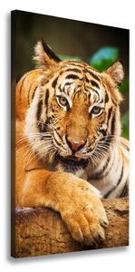 Vertikálny foto obraz na plátne Bengálsky tiger