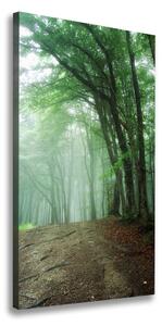 Vertikálny foto obraz canvas Hmla v lese ocv-132941694