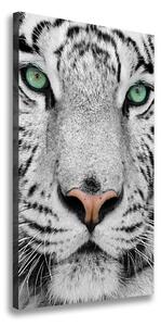 Vertikálny foto obraz canvas Biely tiger ocv-13468757