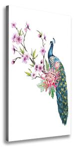 Vertikálny foto obraz canvas Páv a kvety ocv-137329257