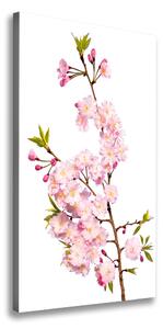 Vertikálny foto obraz canvas Kvety višne ocv-139376728