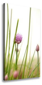 Vertikálny foto obraz na plátne Kvet pažítky