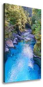 Vertikálny foto obraz canvas Rieka v lese ocv-158043905