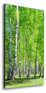 Vertikálny foto obraz canvas Brezový les ocv-155145245