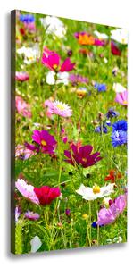 Vertikálny foto obraz canvas Poľné kvety ocv-169402975