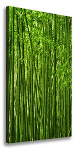 Vertikálny foto-obraz canvas do obývačky Bambusový les