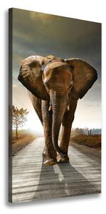 Vertikálny foto obraz na plátne Chodiaci slon ocv-25742331
