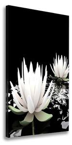 Vertikálny foto obraz canvas Kvet lotosu ocv-31116780
