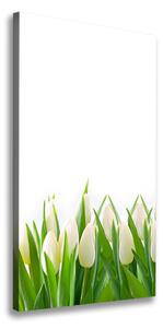 Vertikálny foto-obraz canvas do obývačky Biele tulipány