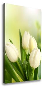 Vertikálny foto obraz na plátne Biele tulipány