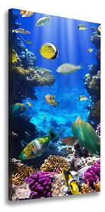 Vertikálny foto obraz canvas Koralový útes ocv-34733928