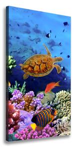Vertikálny foto obraz canvas Koralový útes ocv-35544351