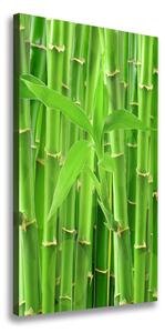 Vertikálny foto obraz na plátne Bambusový les