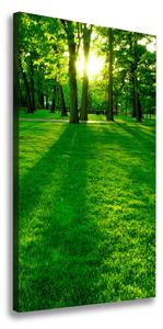 Vertikálny foto obraz na plátne Slnko v parku ocv-3863874