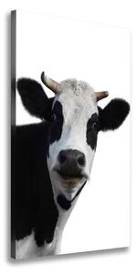 Vertikálny foto obraz canvas Fľakatá krava ocv-38327134