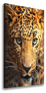 Vertikálny moderný obraz canvas na ráme Leopard