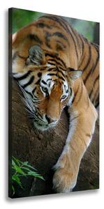 Vertikálny foto obraz na plátne Tiger na strome