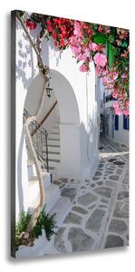 Vertikálny foto obraz na plátne Grécka vesnice
