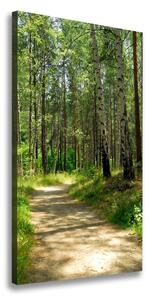 Vertikálny foto obraz canvas Brezový les ocv-4509873