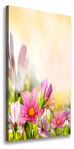 Vertikálny foto obraz canvas Poľné kvety ocv-44427234