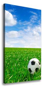 Vertikálny foto obraz na plátne Futbal na lúke
