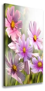 Vertikálny foto obraz canvas Poľné kvety ocv-50039707