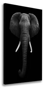 Vertikálny foto obraz na plátne Africký slon ocv-49228540