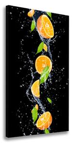 Vertikálny foto obraz na plátne do obývačky Pomaranče