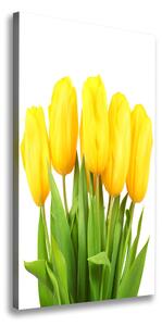 Vertikálny foto obraz na plátne Žlté tulipány