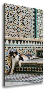 Vertikálny foto obraz canvas Kocúr v Maroku ocv-56384997