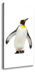 Vertikálny moderný obraz canvas na ráme Tučniak