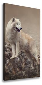 Vertikálny foto obraz canvas Vlk na skale ocv-60381309