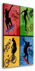 Vertikálny foto obraz na plátne Kolo a skateboard