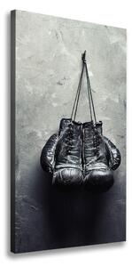 Vertikálny foto obraz na plátne Boxerske rukavice