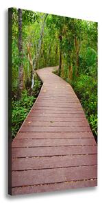 Vertikálny foto obraz na plátne Chodník v džungli