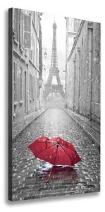 Vertikálny foto obraz na plátne Dáždnik Francúzsko
