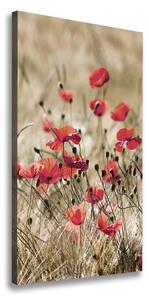 Vertikálny foto obraz canvas Poľné kvety ocv-66291805