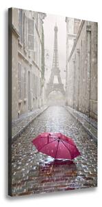 Vertikálny foto obraz na plátne Dáždnik Francúzsko
