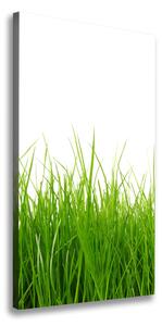 Vertikálny foto obraz na plátne Zelená tráva