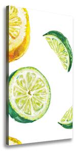 Vertikálny foto obraz na plátne Limetka a citróny