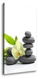 Vertikálny foto obraz na plátne Orchidea a kamene