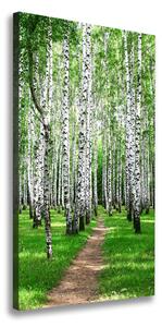 Vertikálny foto obraz canvas Brezový les ocv-72008016